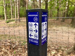 Knooppuntpaal